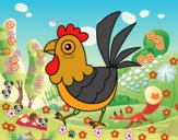 Gallina de granja