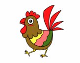 Gallina de granja