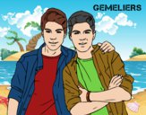 Gemeliers