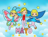 Mayo