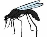 Dibujo Mosquito pintado por windy