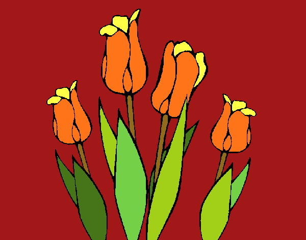 Tulipanes