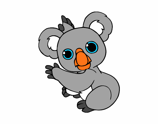 Un Koala