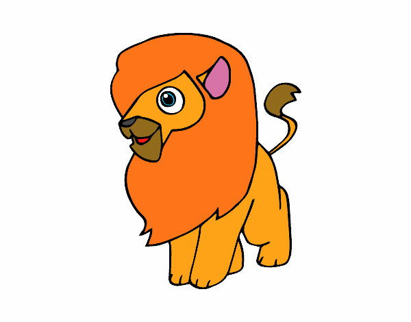 Un león