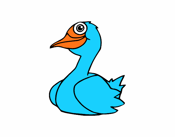 Un pato