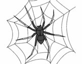 Araña