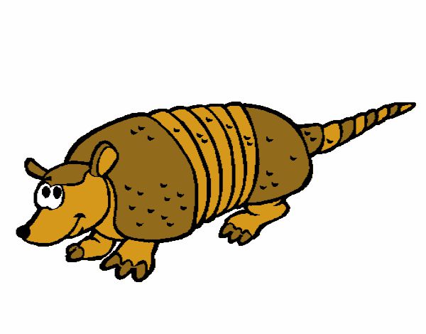 Armadillo