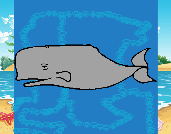 Ballena azul