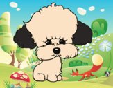 Cachorro de poodle