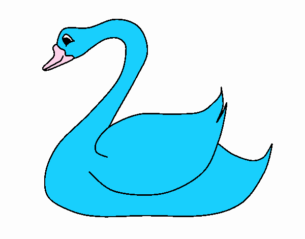 Cisne 1