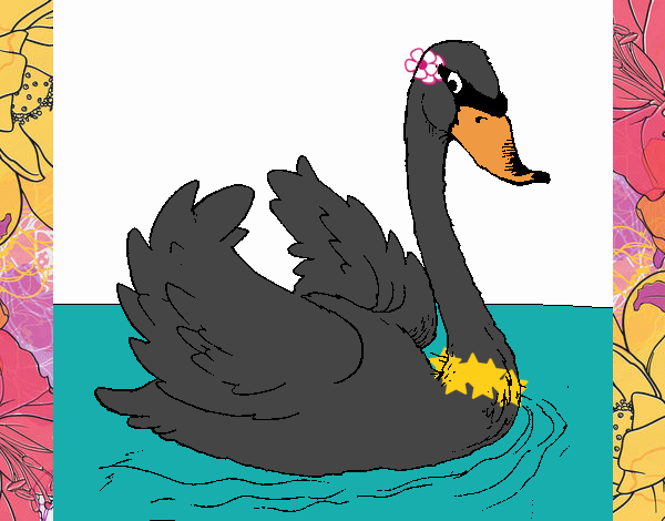 Cisne en el agua