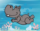 Decathlon - Hipopótamo nadador