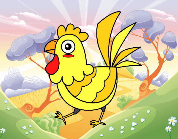 Gallina de granja