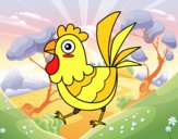 Gallina de granja