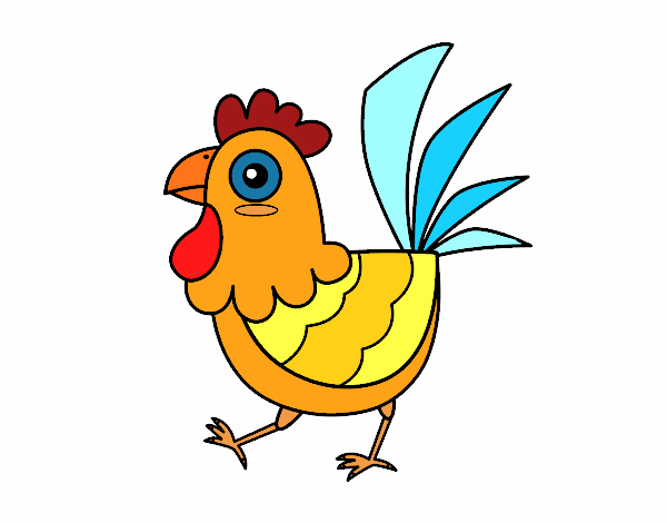 Gallina de granja