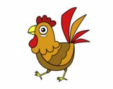 Gallina de granja