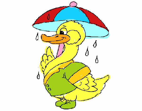 Pato bajo la lluvia