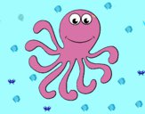 Pulpo 2