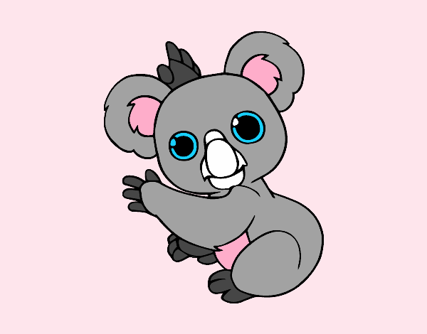 Un Koala