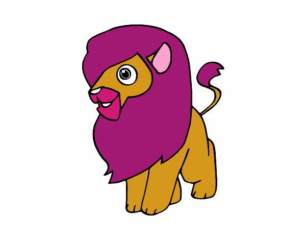 Un león