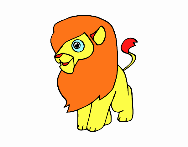 Un león