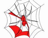 Araña