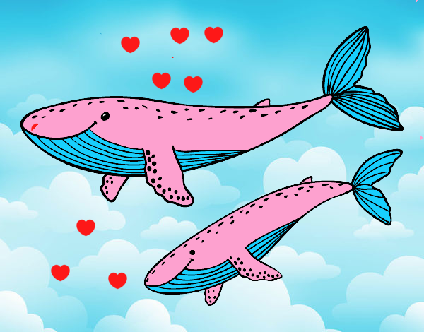 Las  ballenas    rosadas