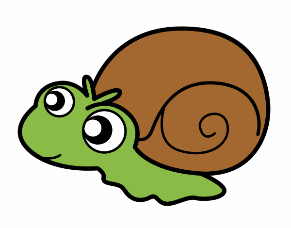 Caracol bebé