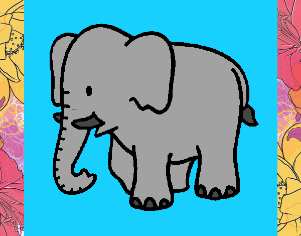 Elefante bebe