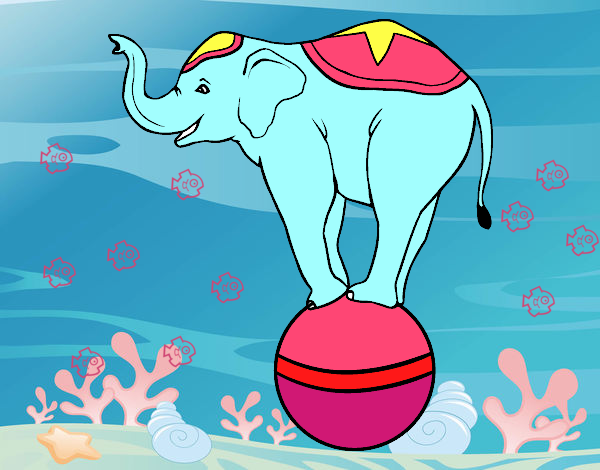 Elefante equilibrista