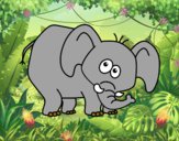 Elefante vergonzoso