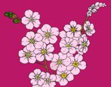 Dibujo Flor de cerezo pintado por carlita11