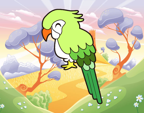 Guacamayo