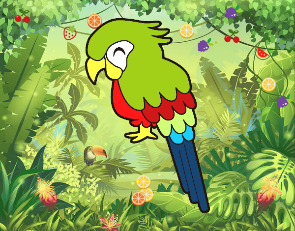 Guacamayo