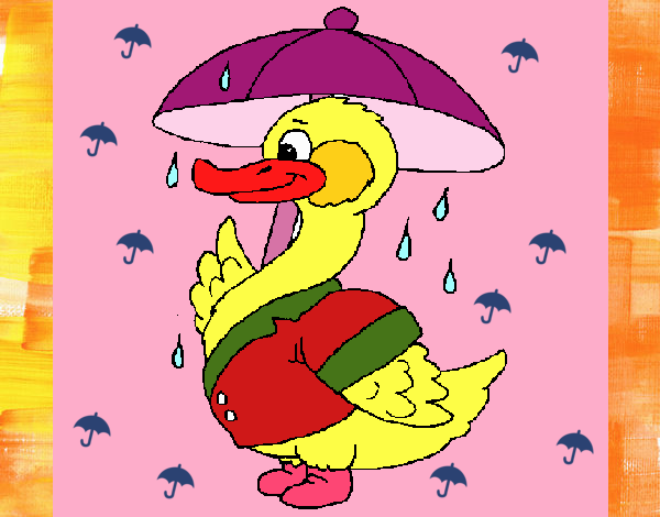 Pato bajo la lluvia