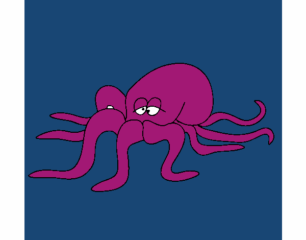 Pulpo