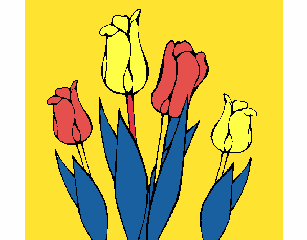 Tulipanes