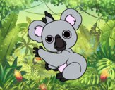 Un Koala