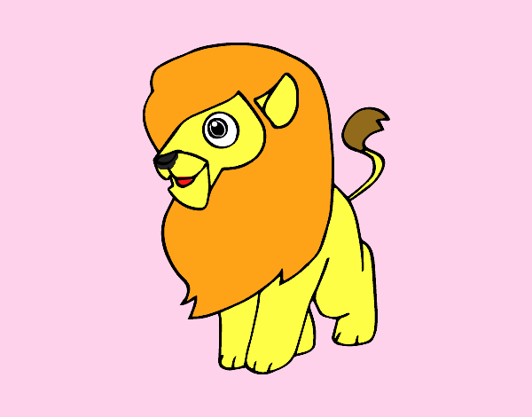 Un león