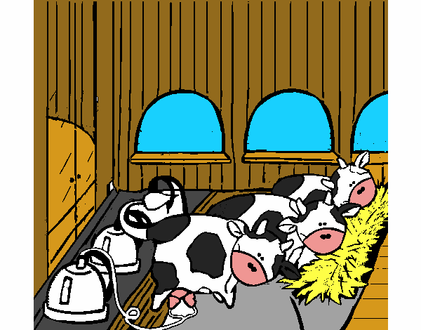 Vacas en el establo