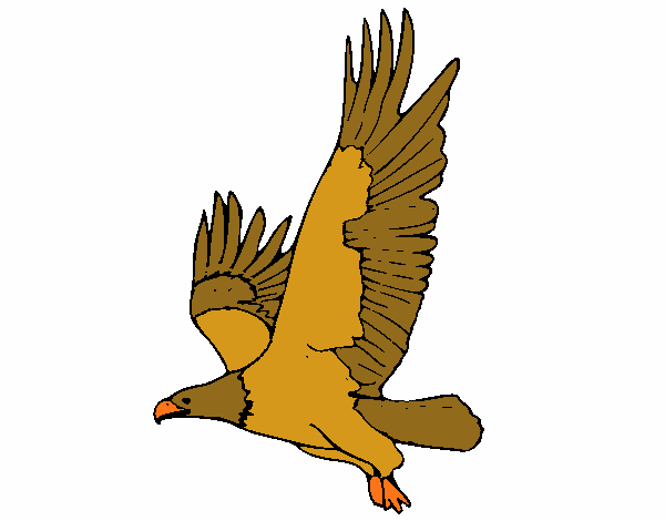 Águila volando