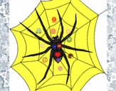 Araña