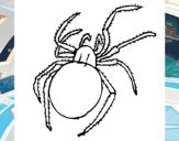 Araña venenosa