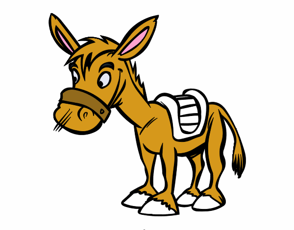 Burro de granja