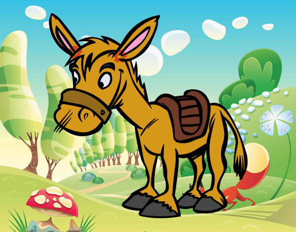 Burro de granja