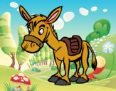 Burro de granja