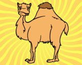 Dibujo Camello aburrido pintado por LunaLunita