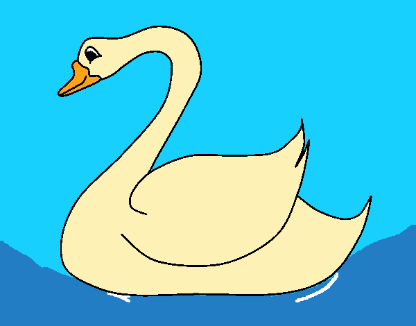 Cisne 1