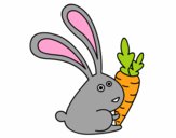 Conejo con zanahoria