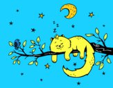 El gato y la luna